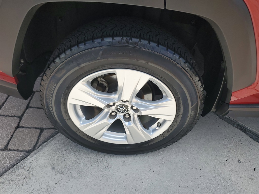 2019 Toyota RAV4 XLE photo 6
