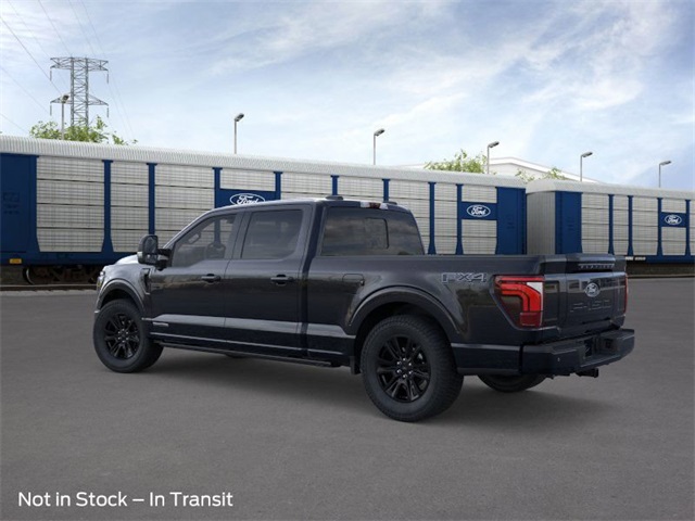2025 Ford F-150 Platinum photo 3