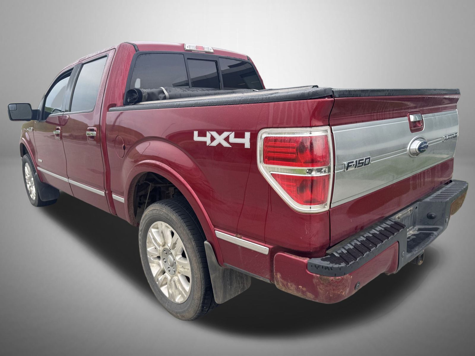 2013 Ford F-150 Platinum photo 3