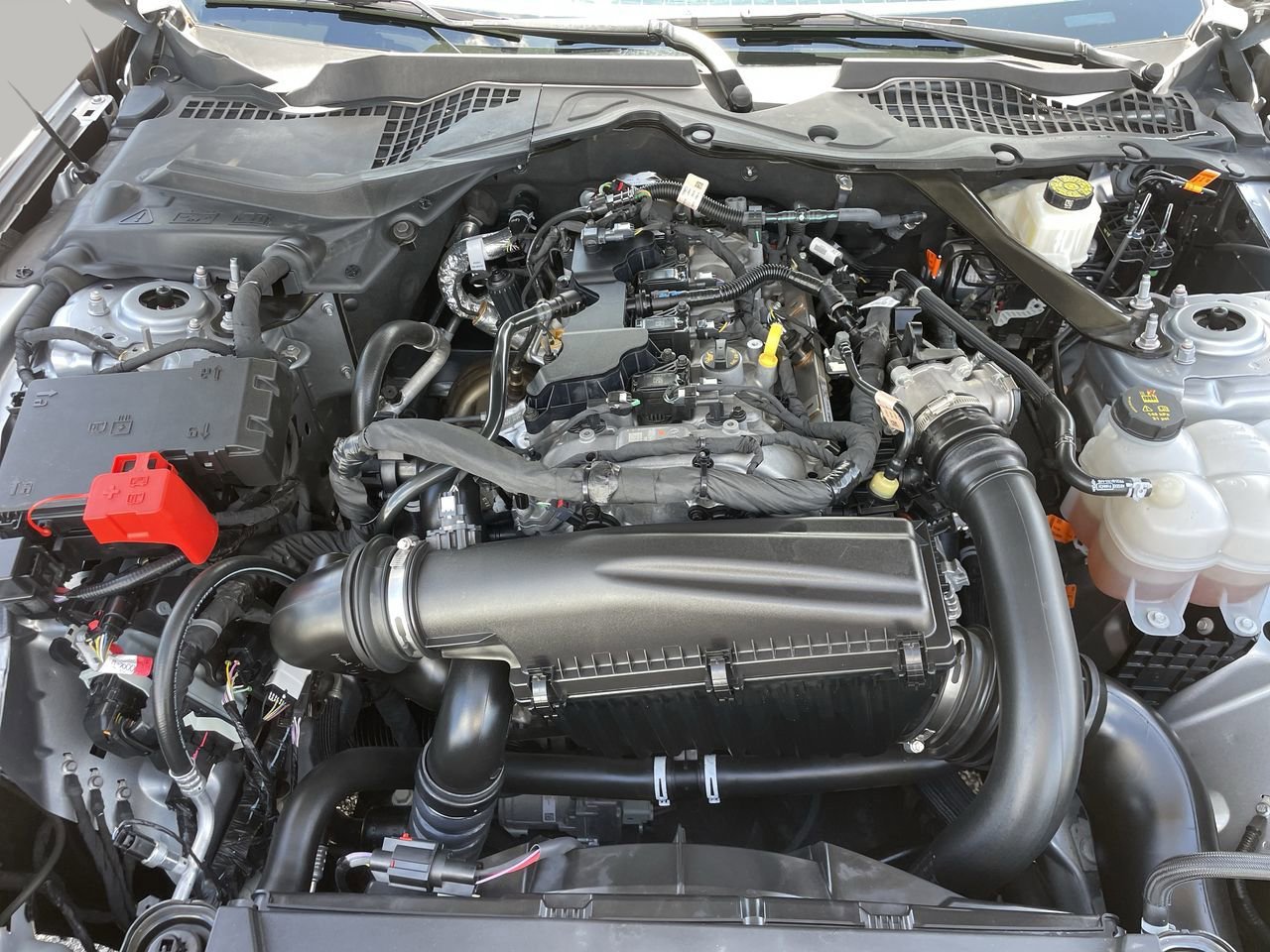 2024 Ford Mustang EcoBoost Premium Convertible photo 8