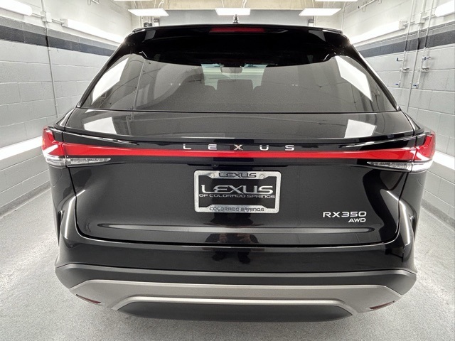 2024 Lexus RX 350 AWD photo 3