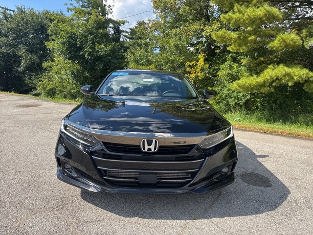 2022 Honda Accord Sport 1.5T photo 2