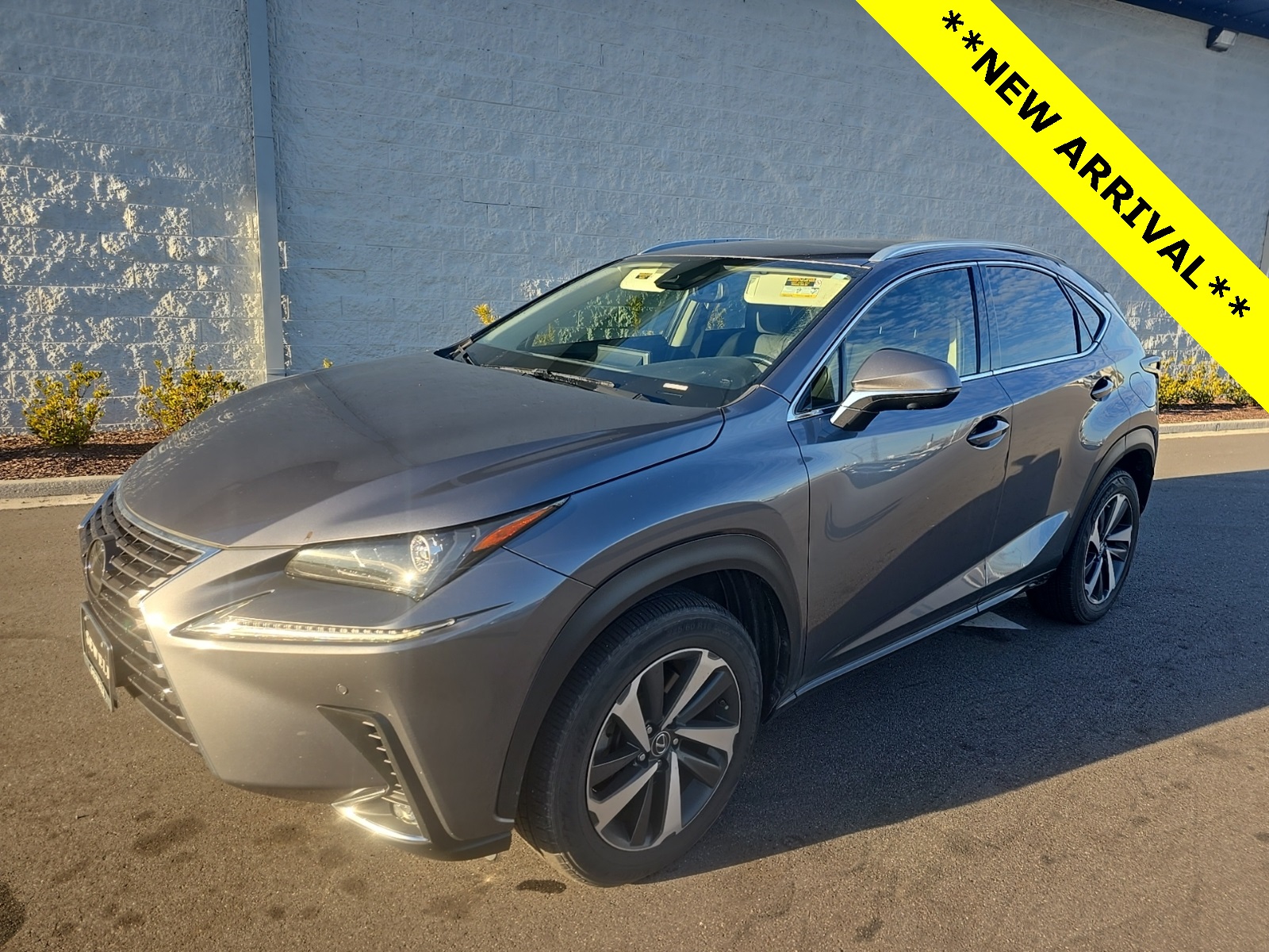 2020 Lexus NX 300's photo