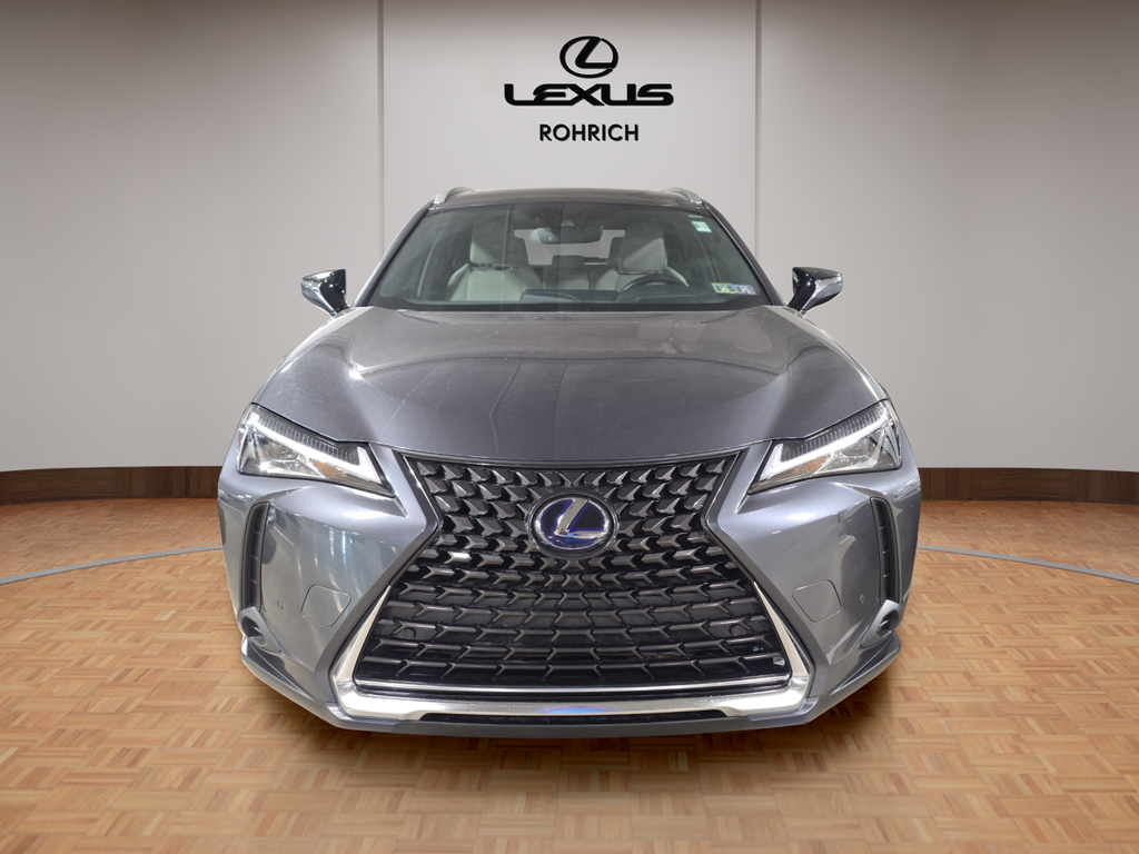 2022 Lexus UX 250h photo 2