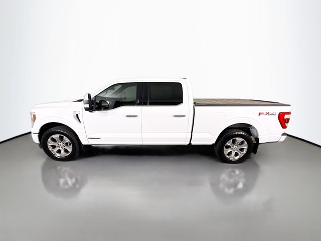 2021 Ford F-150 Platinum photo 4