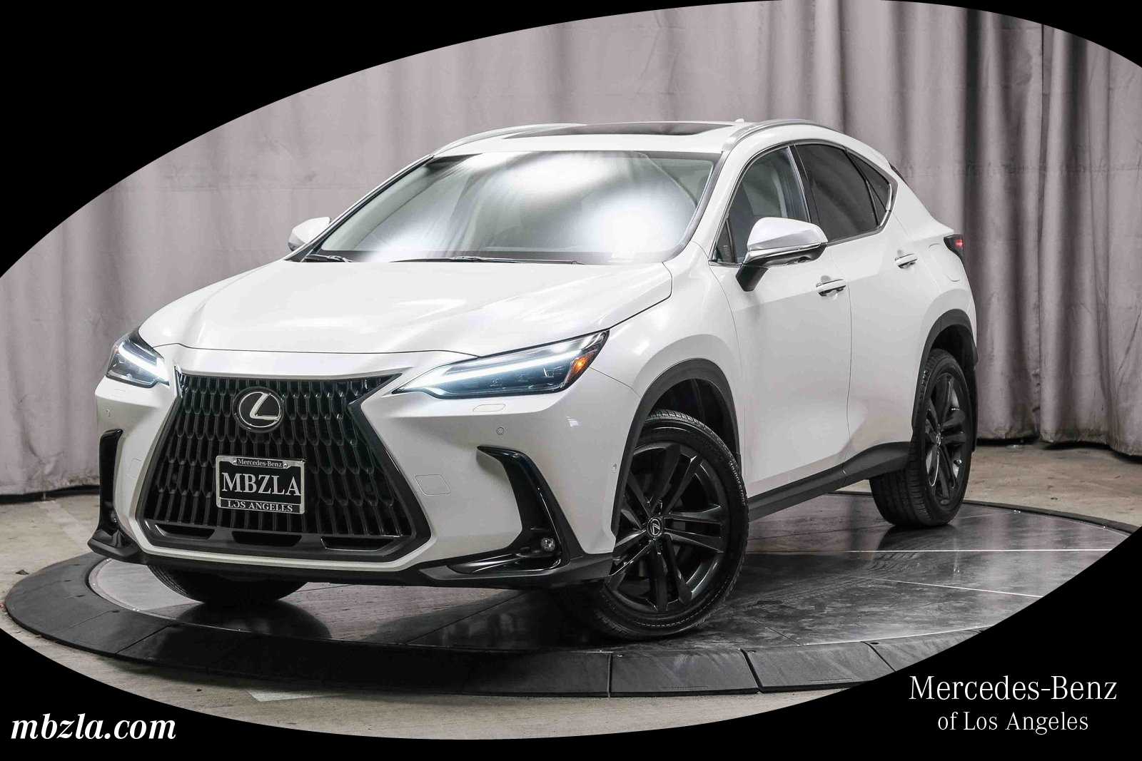 2025 Lexus NX PHEV 450h+'s photo