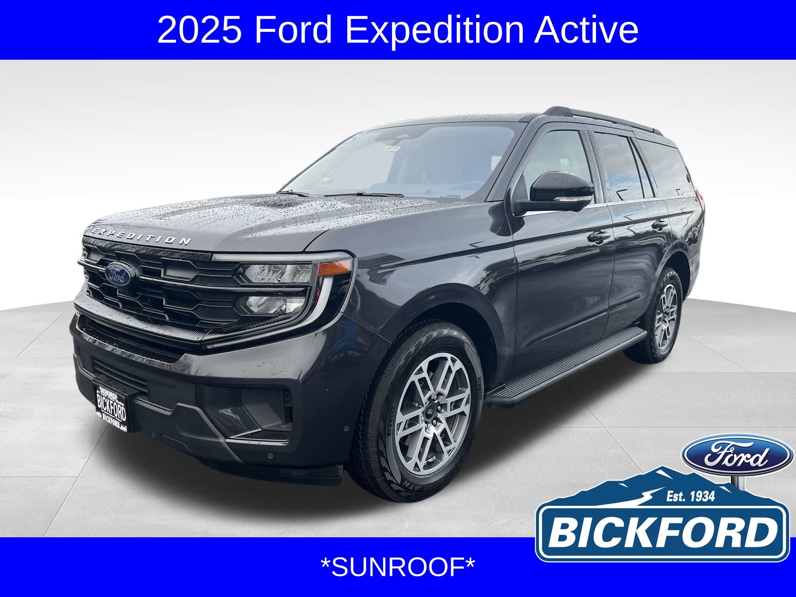 2025 Ford Expedition Active's photo