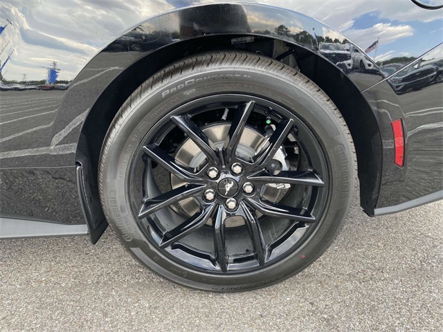 2025 Ford Mustang EcoBoost photo 10