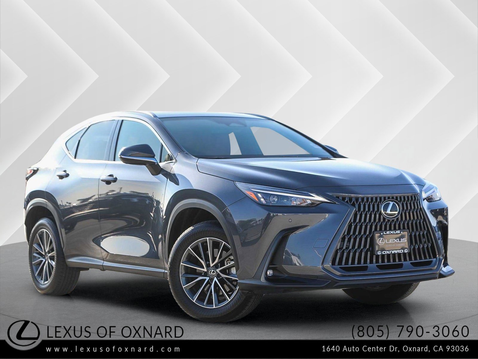 2025 Lexus NX Hybrid 350h's photo