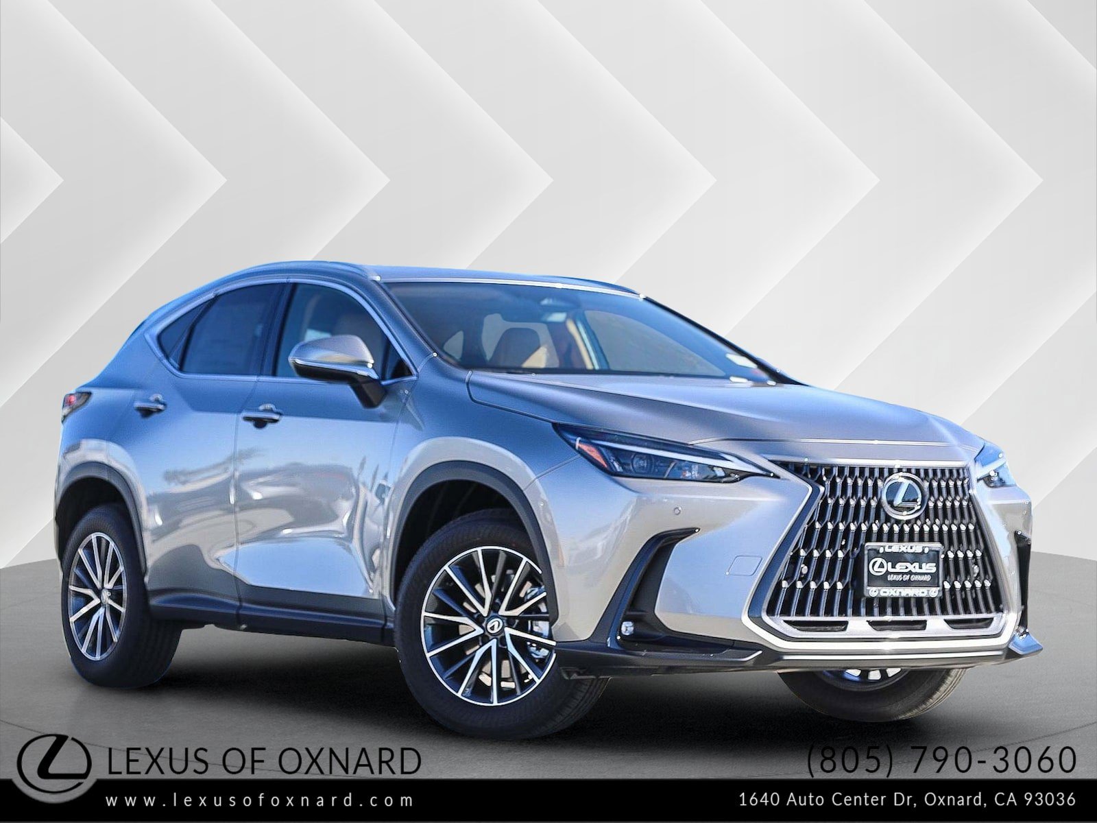2026 Lexus NX 350's photo