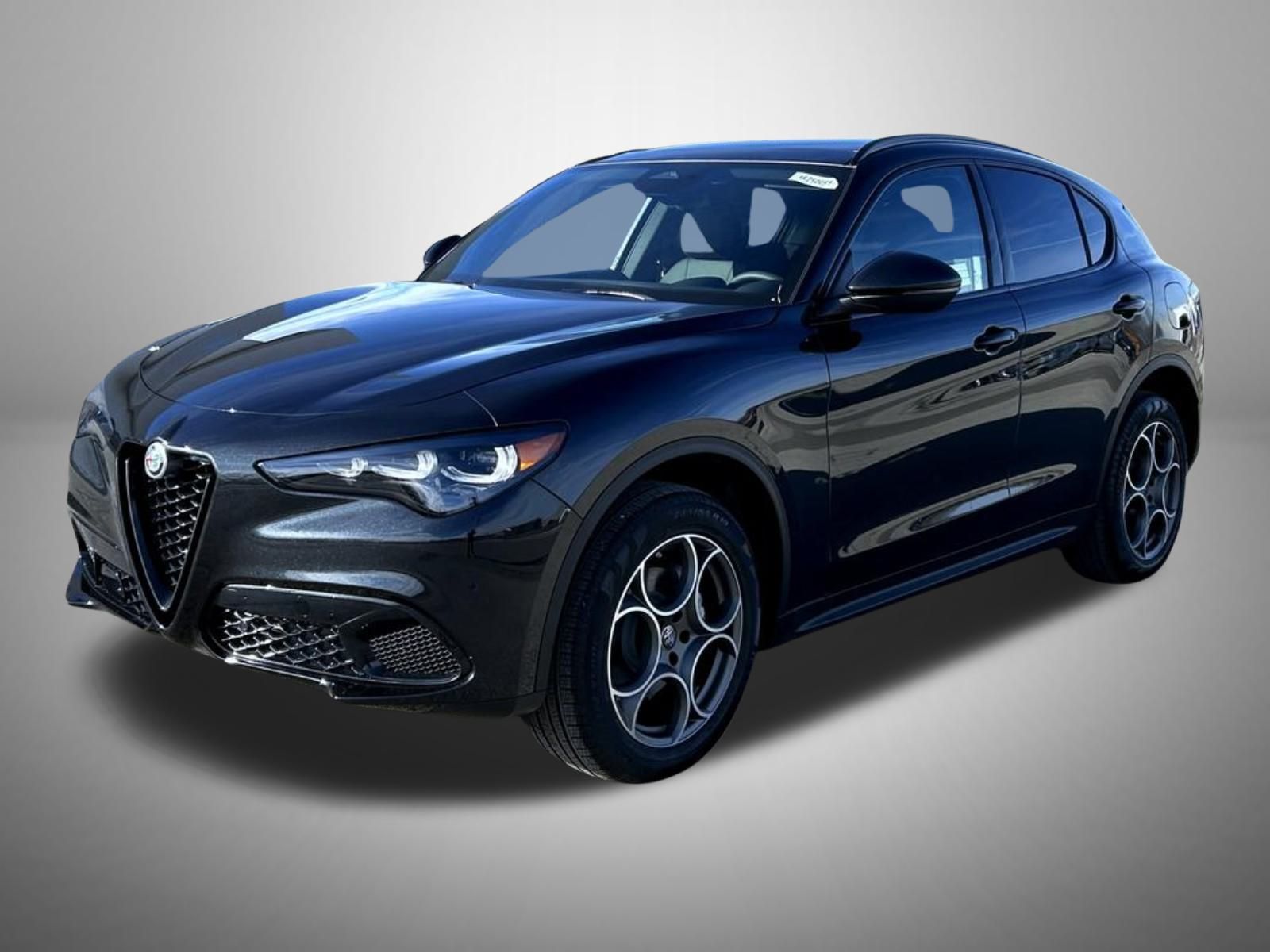 2025 Alfa Romeo Stelvio Base's photo