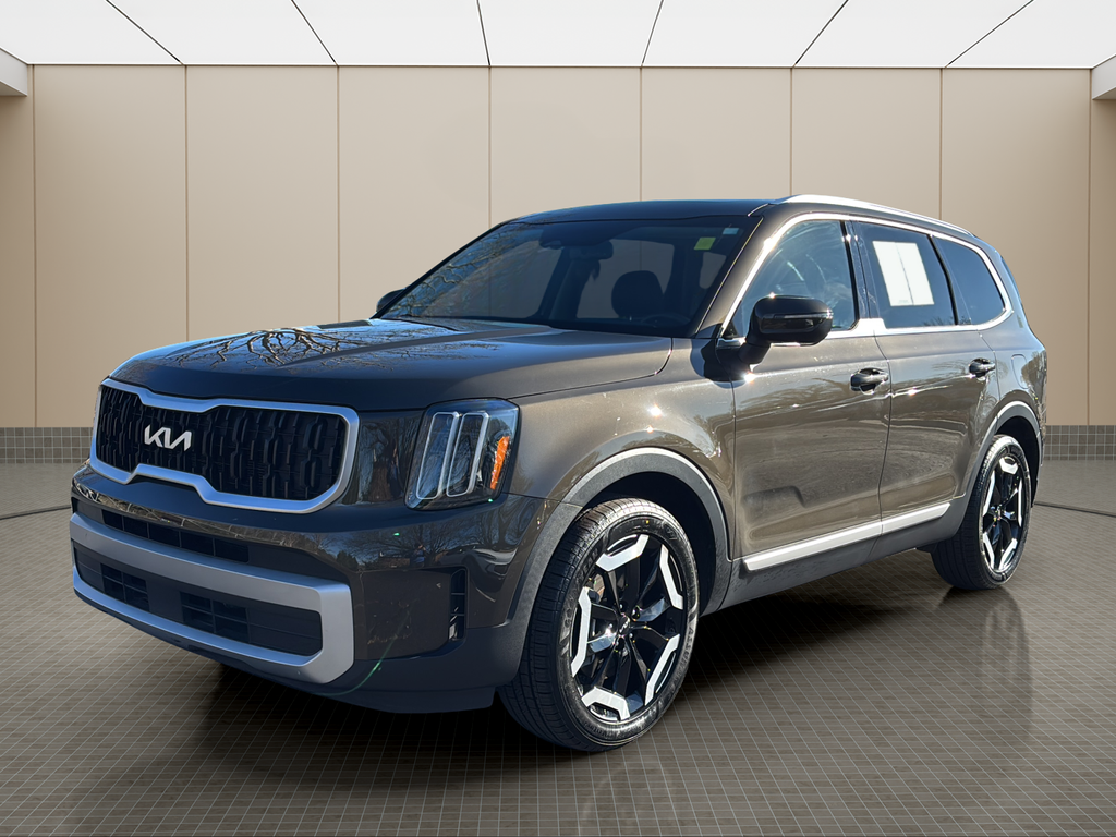 2024 Kia Telluride EX's photo