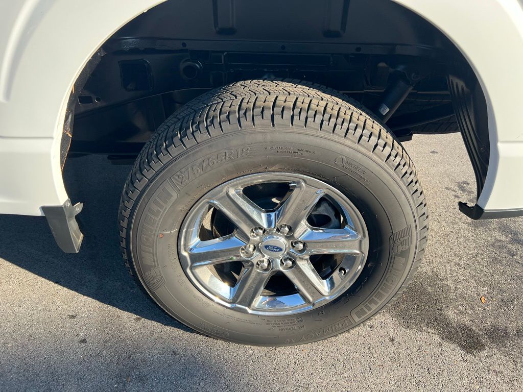 2024 Ford F-150 XLT photo 11