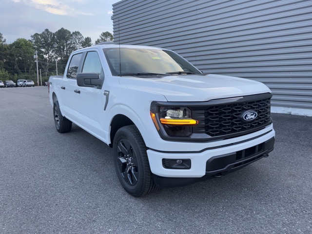 2025 Ford F-150 STX's photo