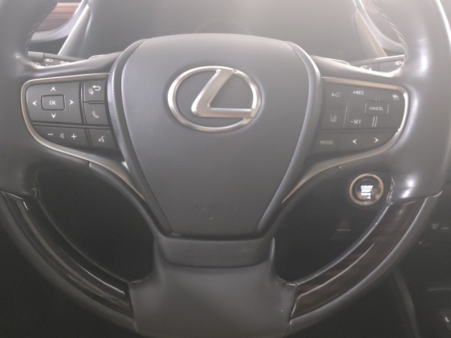 2019 Lexus ES 350 photo 10