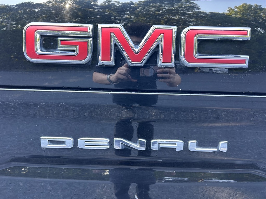 2020 Gmc Sierra 1500 Denali photo 11