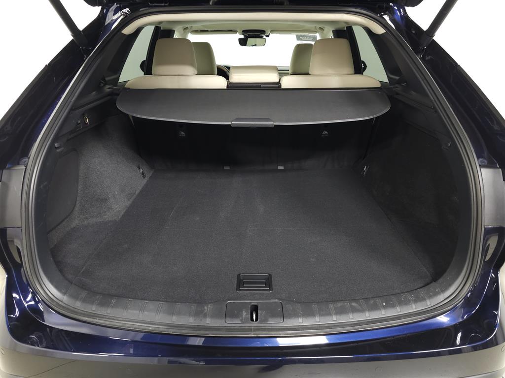 2024 Lexus RX 350h photo 5