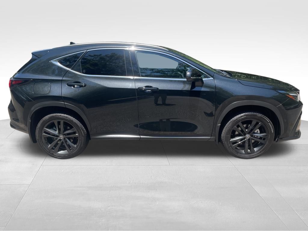 2024 Lexus NX 450h+ Luxury photo 8