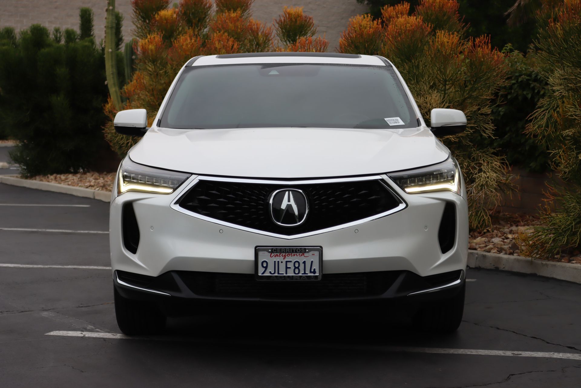 2023 Acura RDX Technology photo 3