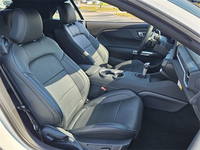 2025 Ford Mustang GT Premium photo 14
