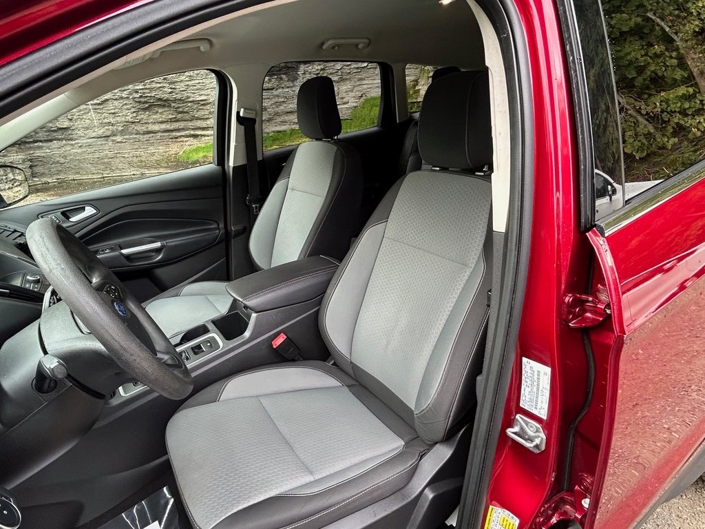 2019 Ford Escape SE photo 14