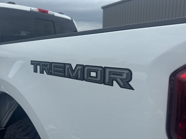 2025 Ford F-350 XLT photo 11