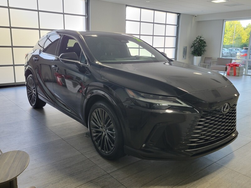 2023 Lexus RX 350 Luxury photo 3