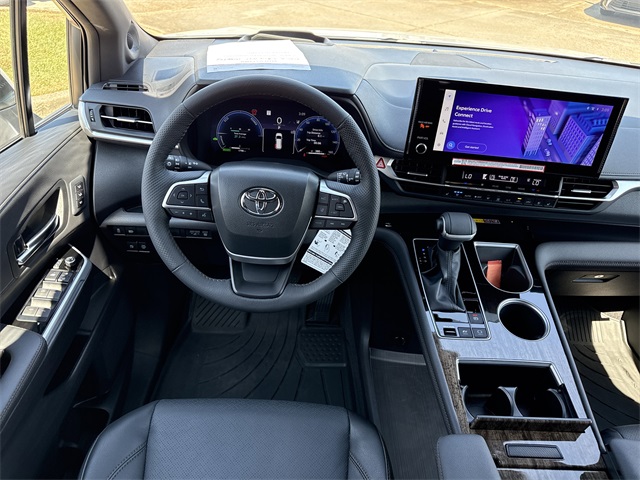 2025 Toyota Sienna Platinum photo 20