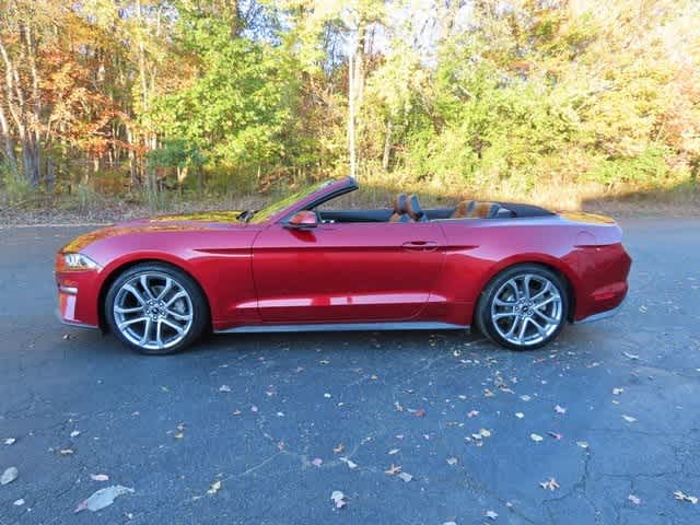 2019 Ford Mustang EcoBoost photo 4