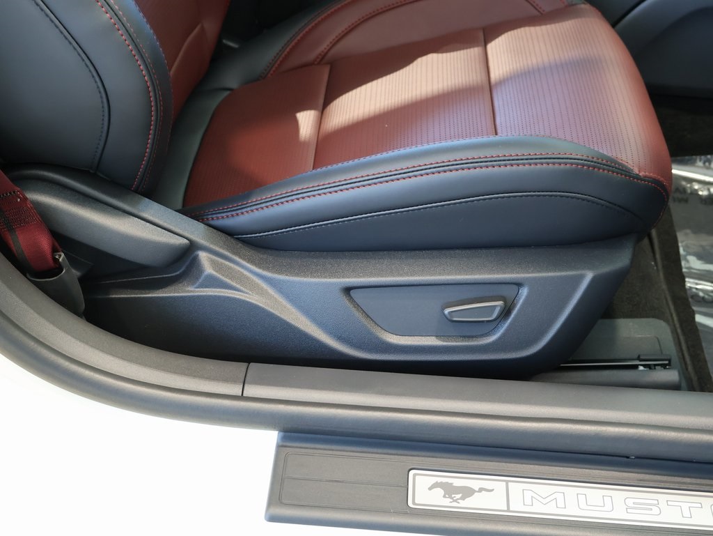 2025 Ford Mustang GT Premium photo 10