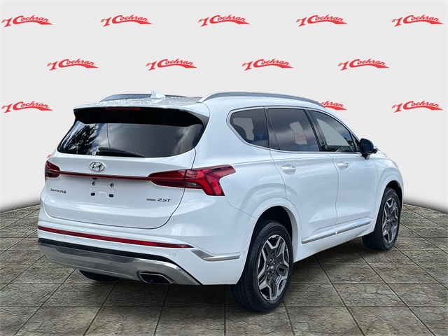 2021 Hyundai Santa Fe Calligraphy photo 3