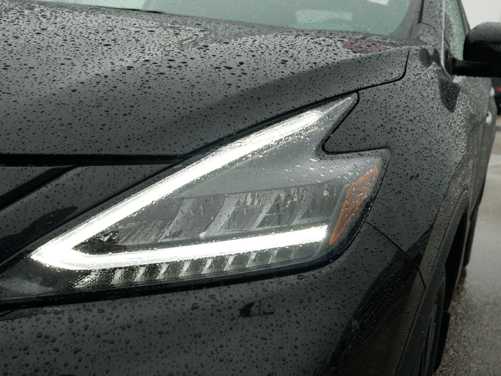 2024 Nissan Murano SV photo 9