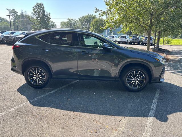 2022 Lexus NX 350h Luxury photo 4