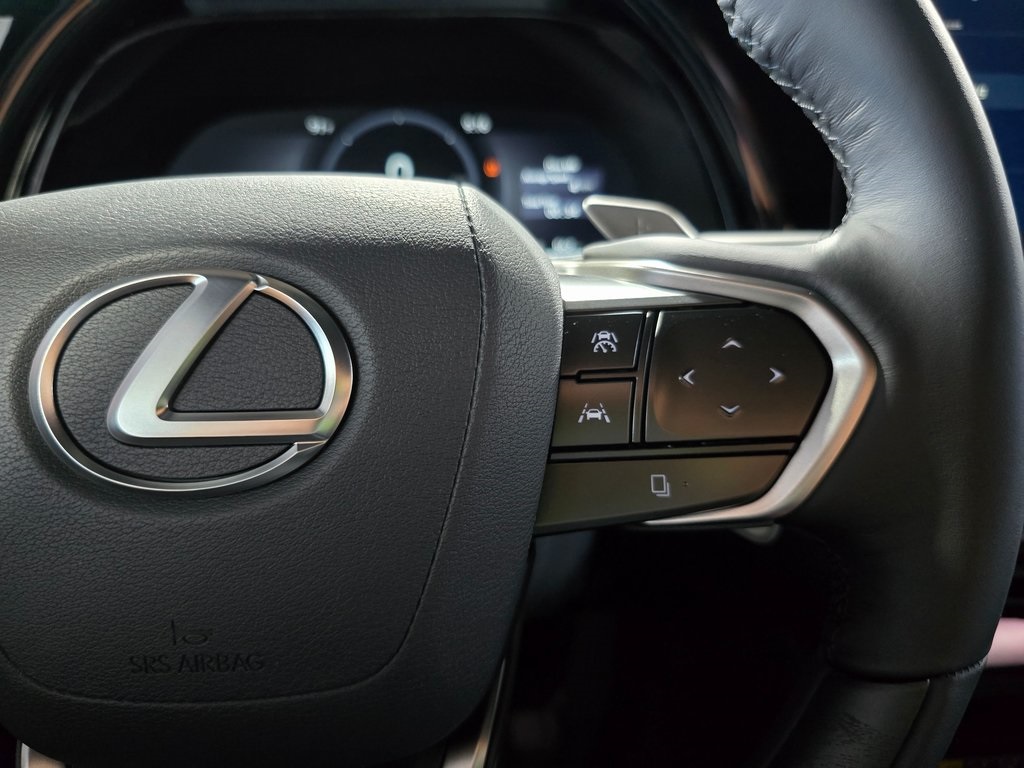 2025 Lexus RX 450h+ Luxury photo 15