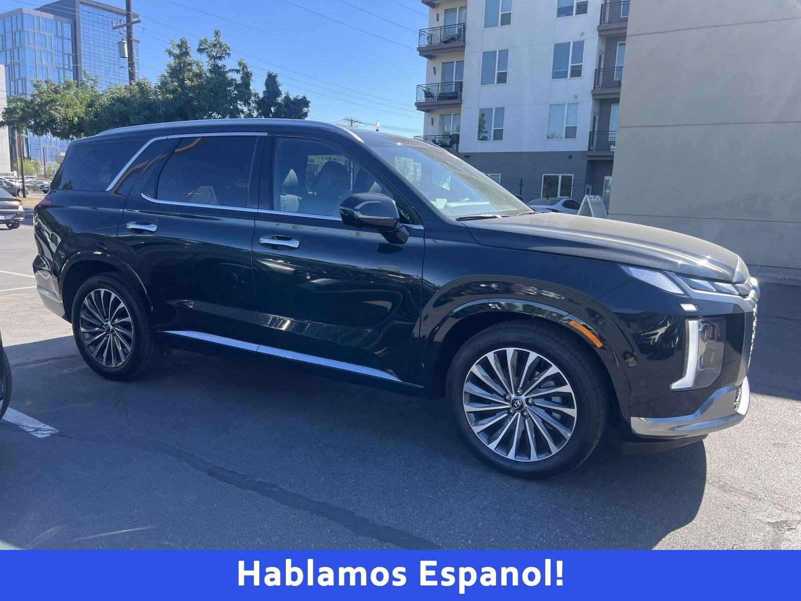 2025 Hyundai Palisade Calligraphy photo 2