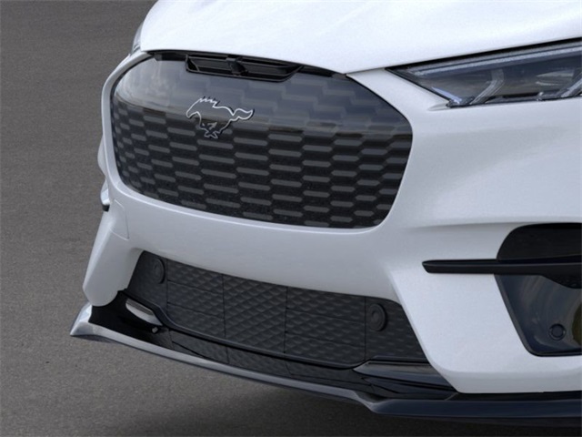 2025 Ford Mustang Mach-E GT photo 9