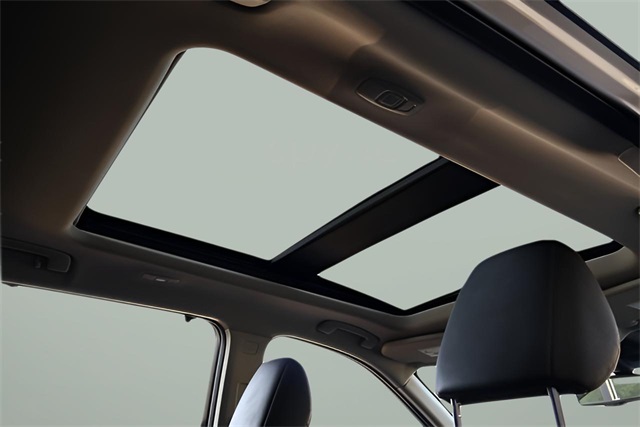 2021 Nissan Rogue Platinum photo 16