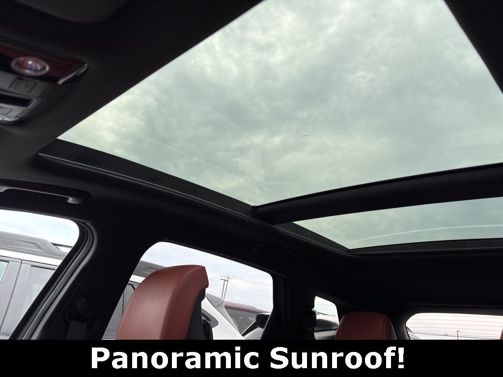 2023 Kia Sportage Hybrid photo 8