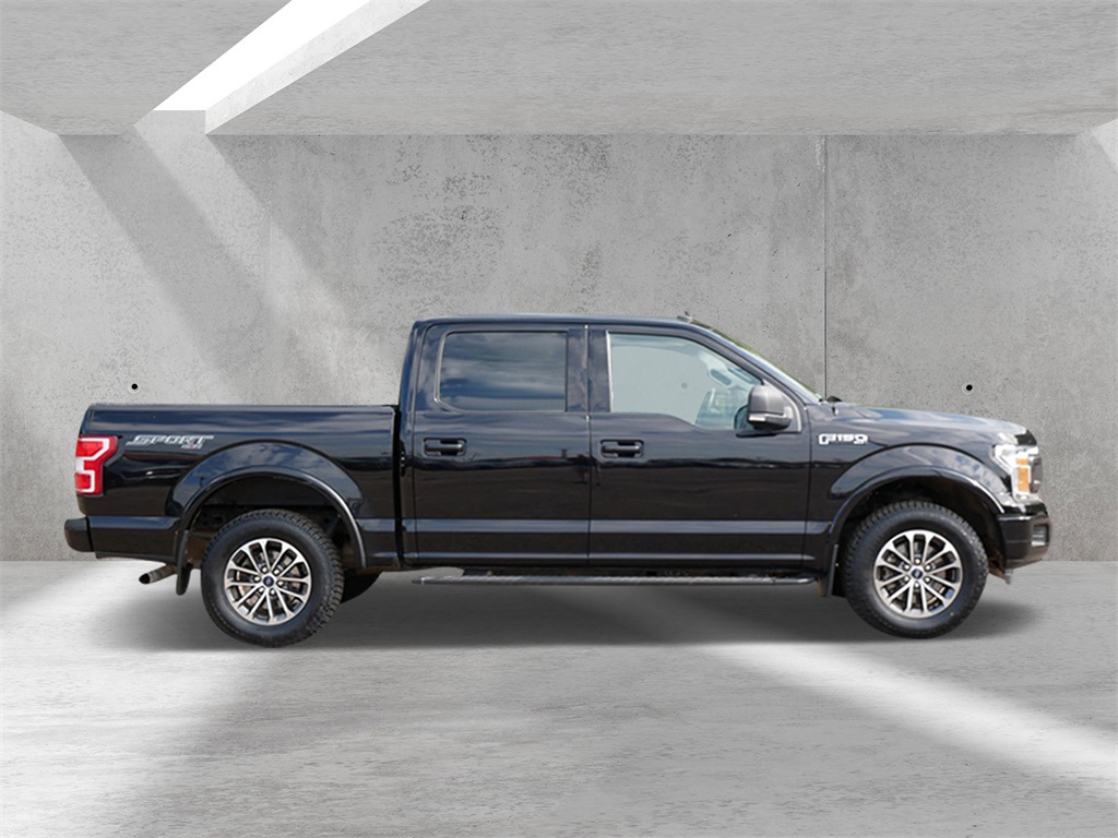 Used 2019 Ford F-150 XLT with VIN 1FTEW1EP7KKD12937 for sale in White Bear Lake, Minnesota