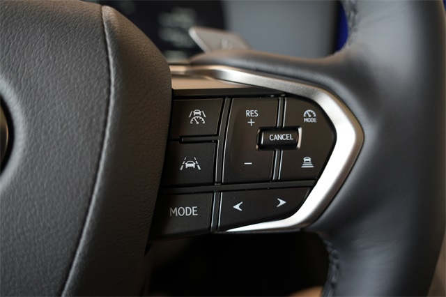 2025 Lexus GX 550 Luxury photo 10