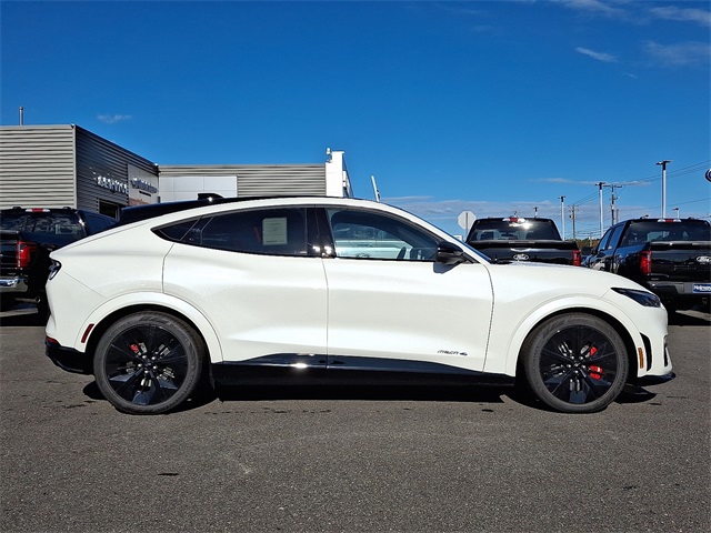 2025 Ford Mustang Mach-E GT AWD's photo