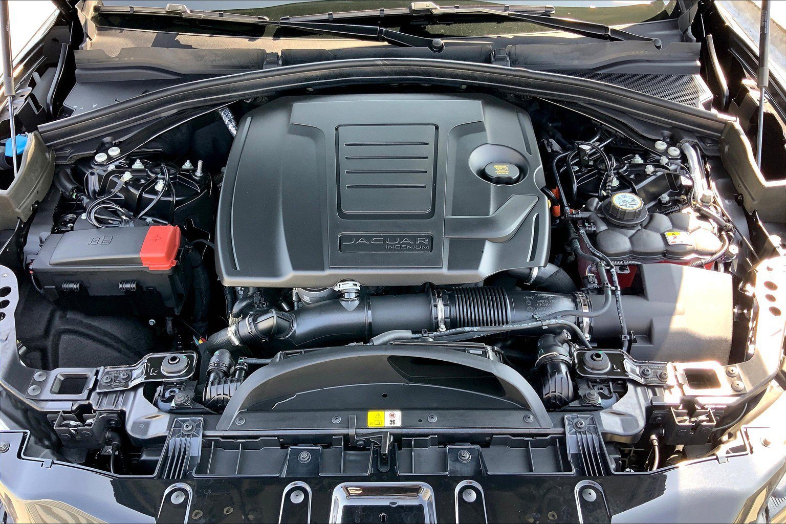 2025 Jaguar F-PACE P250 R-Dynamic S photo 9
