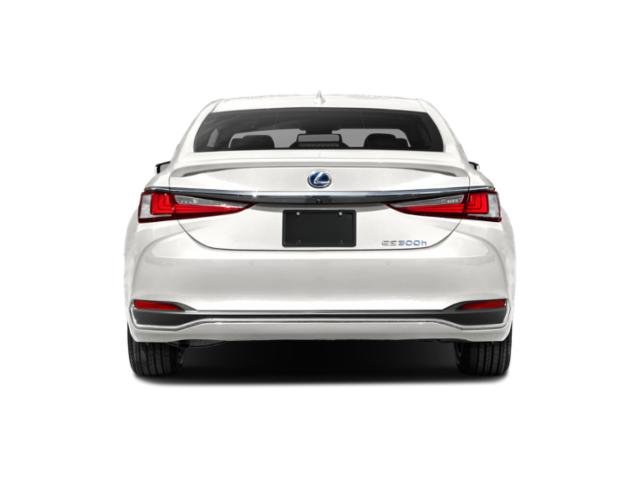 2022 Lexus ES 300h F SPORT photo 3