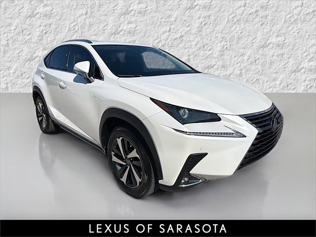 2021 Lexus NX Hybrid 300h's photo