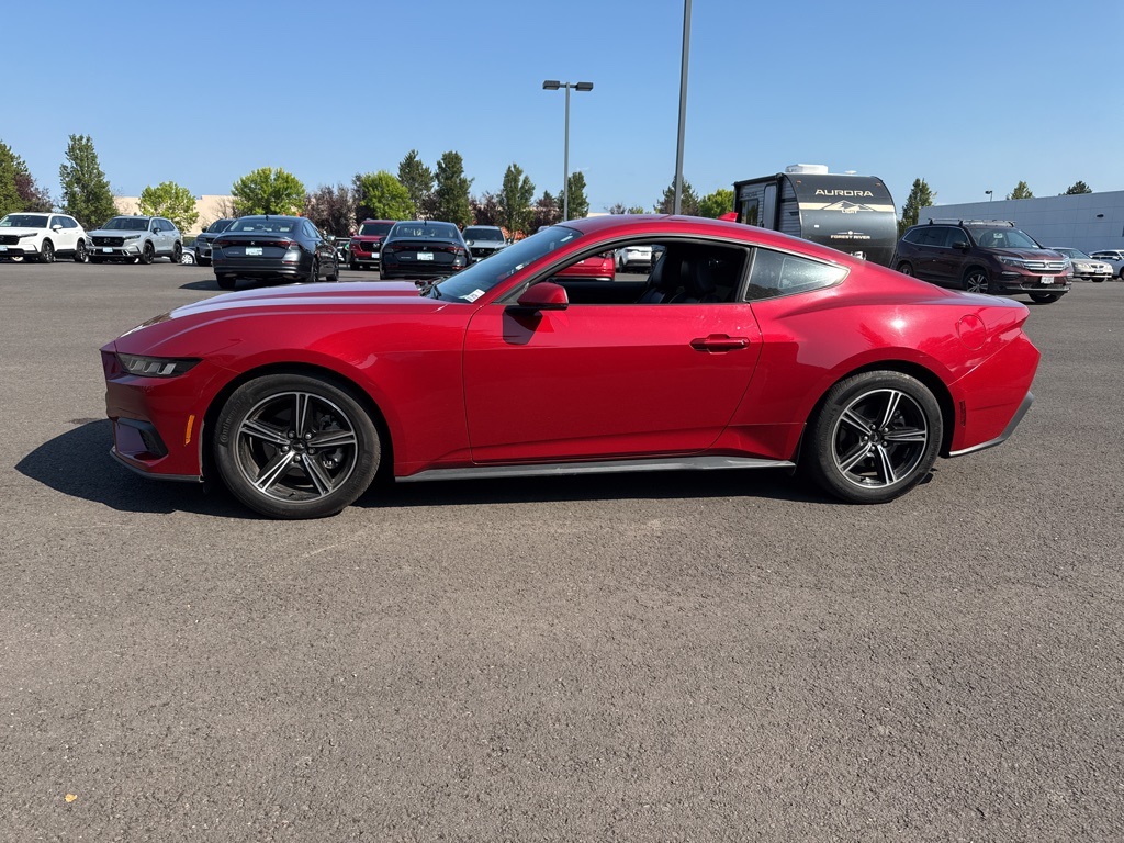 2024 Ford Mustang EcoBoost Premium photo 4