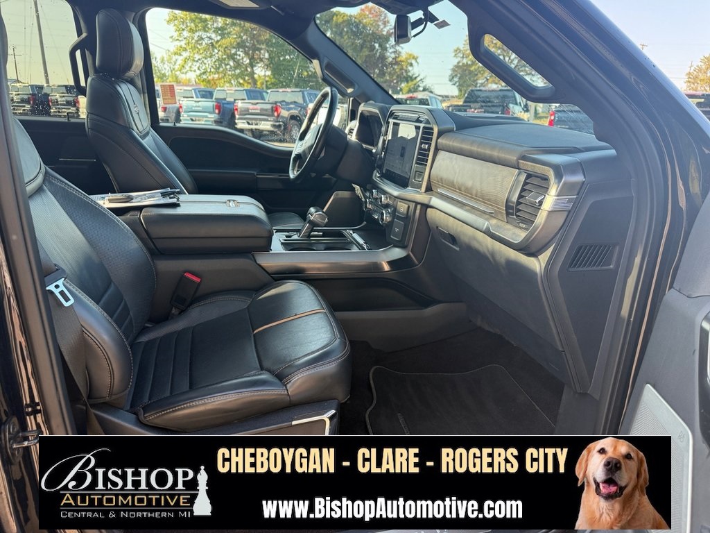 2021 Ford F-150 Platinum photo 16