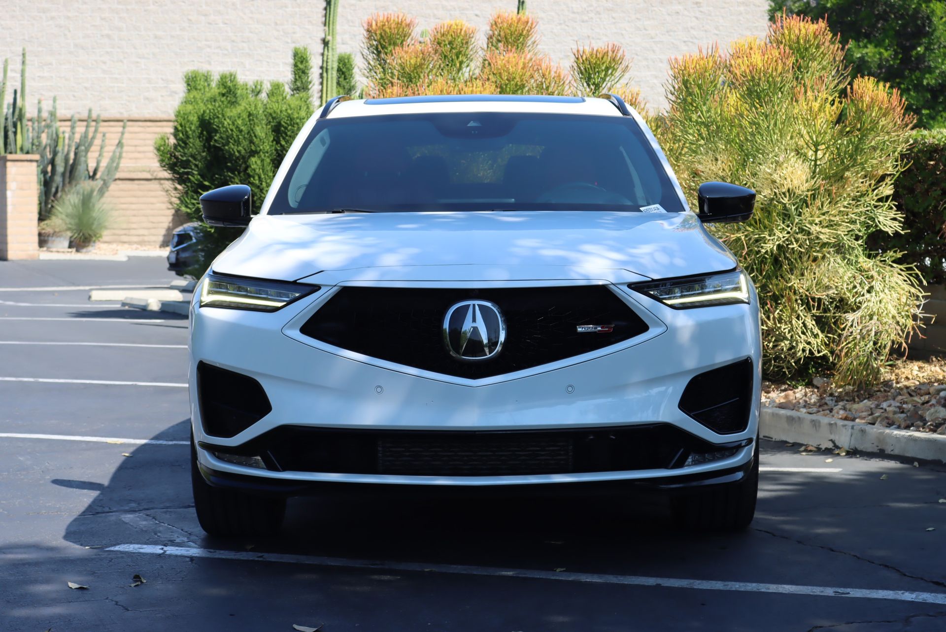 2023 Acura MDX Type S Advance SH-AWD photo 3