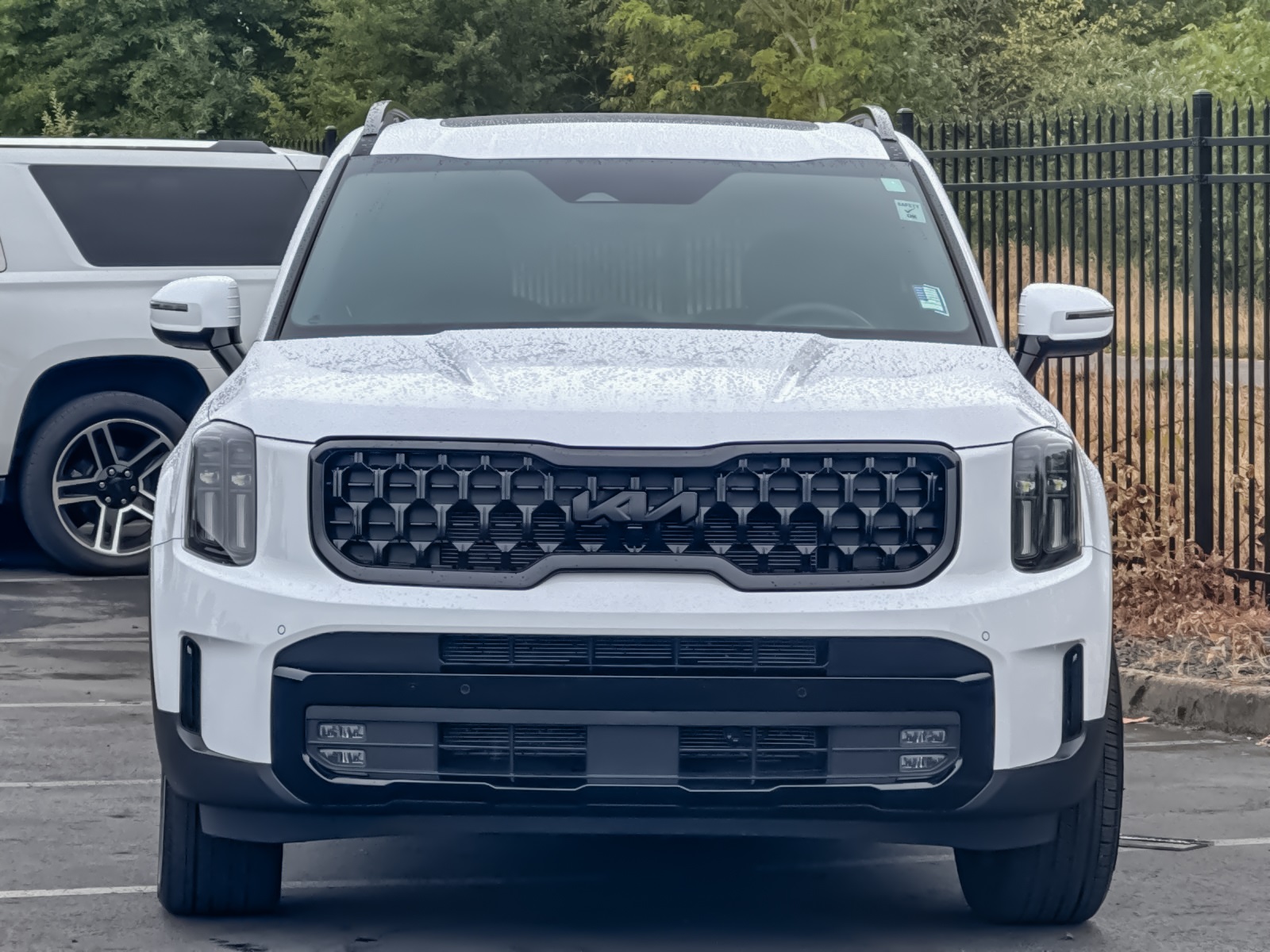 2025 Kia Telluride X-Line photo 8