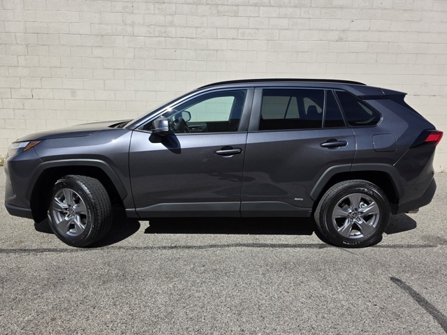 Used 2024 Toyota RAV4 XLE with VIN 4T3RWRFV4RU142387 for sale in Northfield, Minnesota