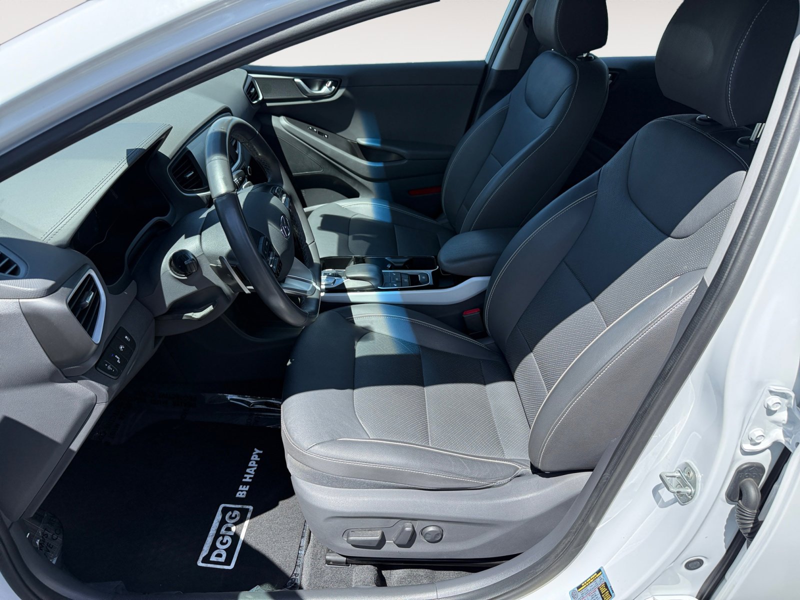 2019 Hyundai Ioniq Electric Limited photo 10